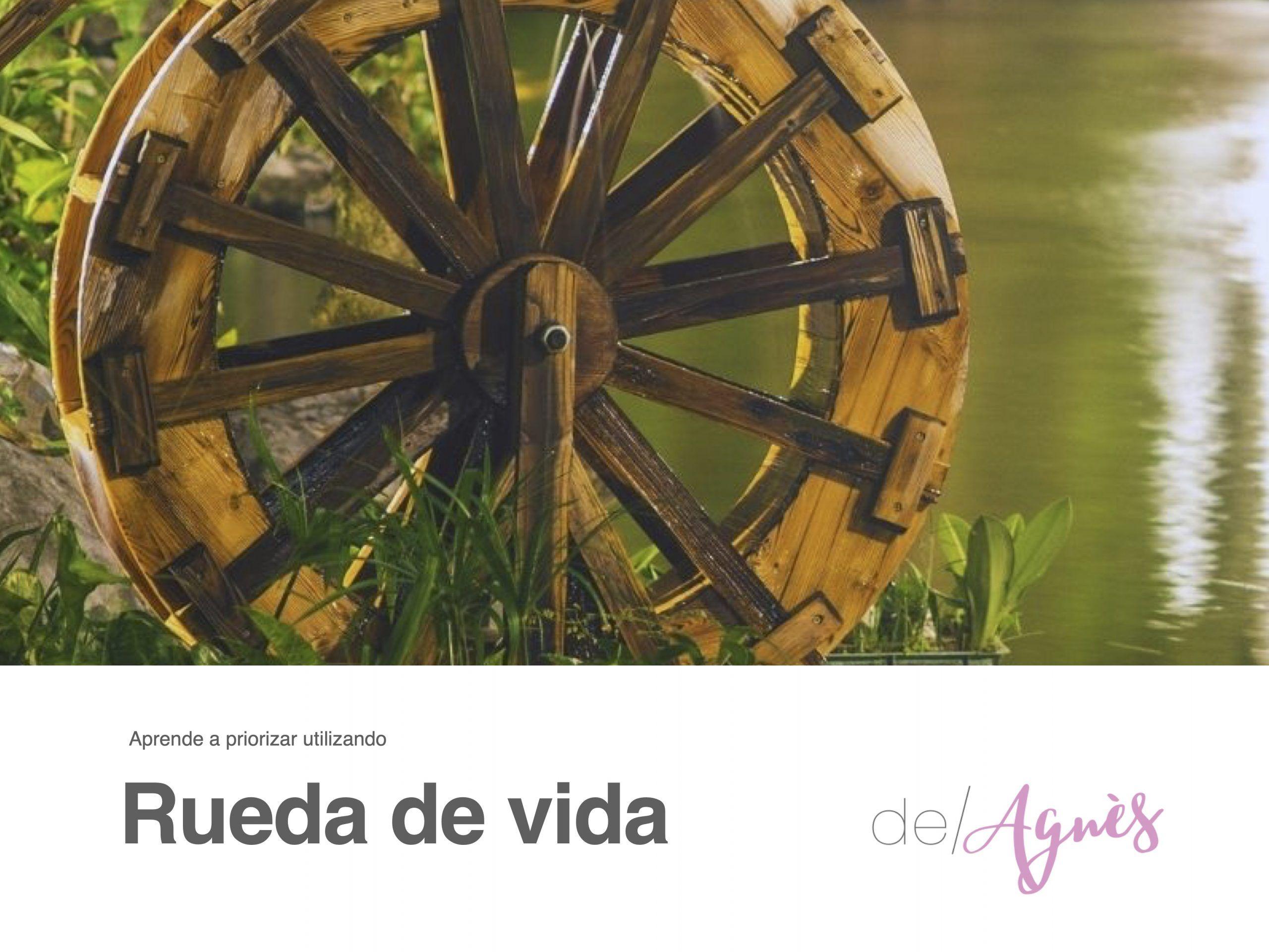 ebook rueda de vida deAgnes